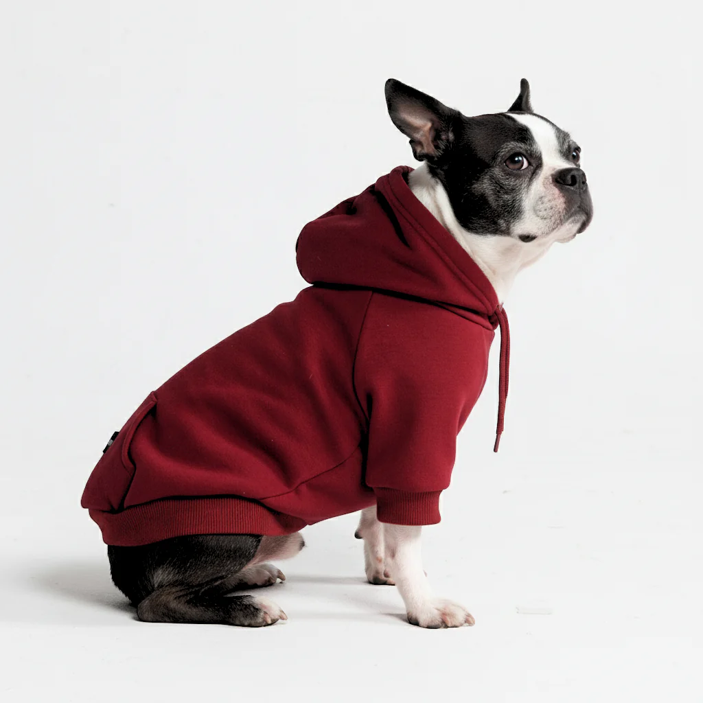 Felpa con cappuccio essenziale per cani - Image 15