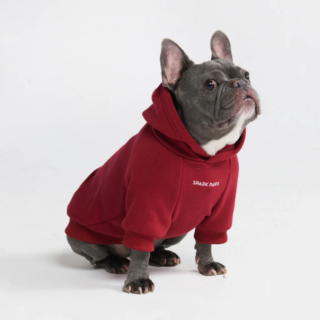 Felpa con cappuccio essenziale per cani - Image 16