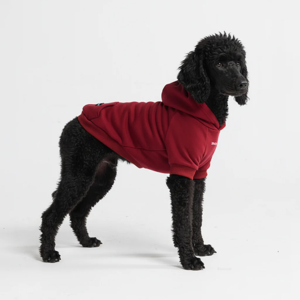 Felpa con cappuccio essenziale per cani - Image 17