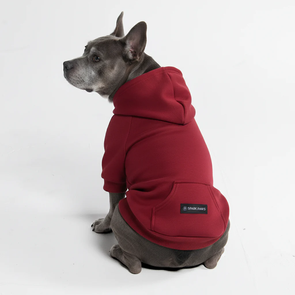 Felpa con cappuccio essenziale per cani - Image 22