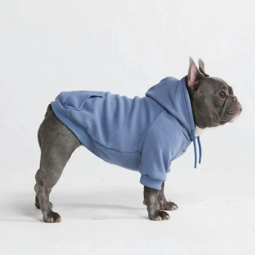 Felpa con cappuccio essenziale per cani - Image 25