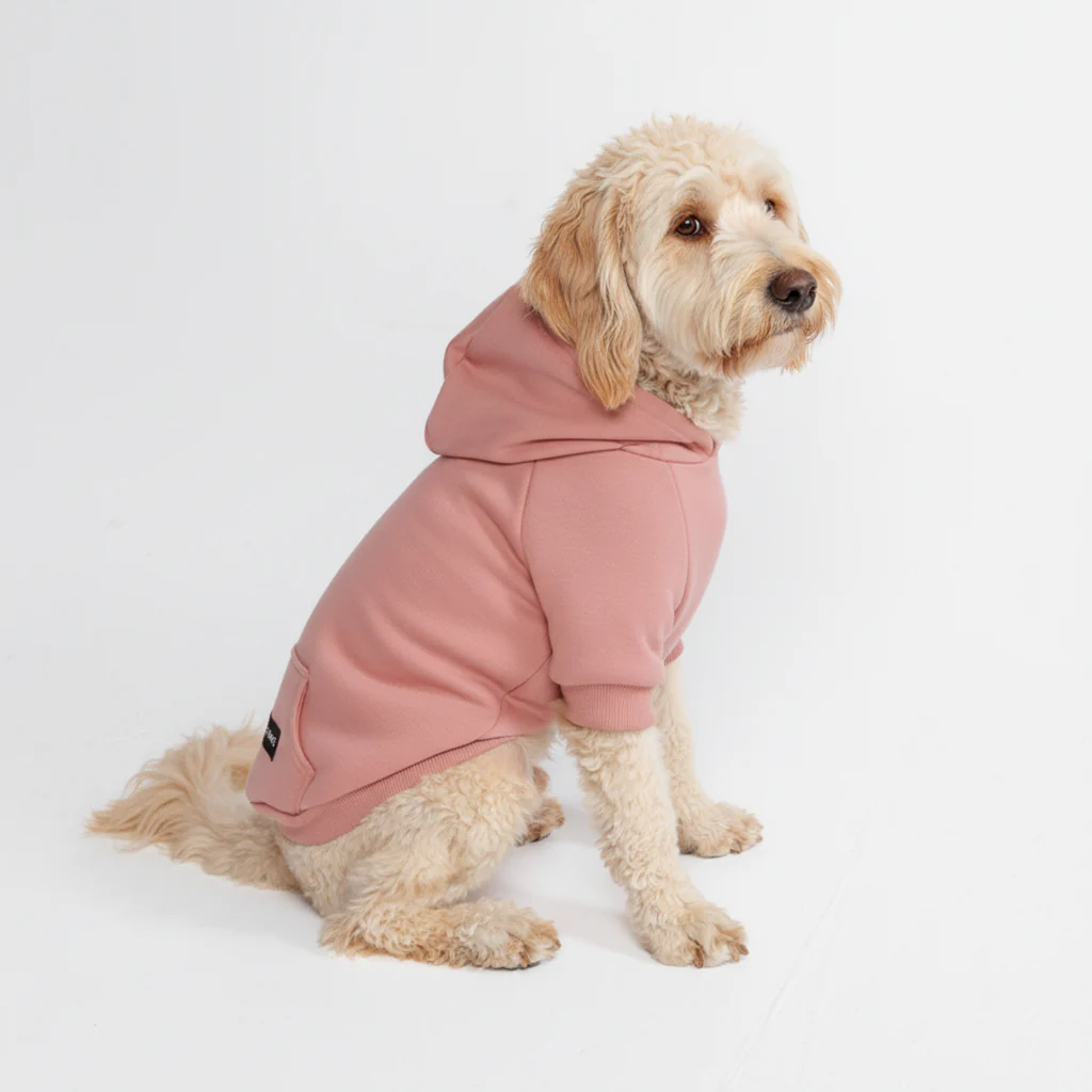 Felpa con cappuccio essenziale per cani - Image 40