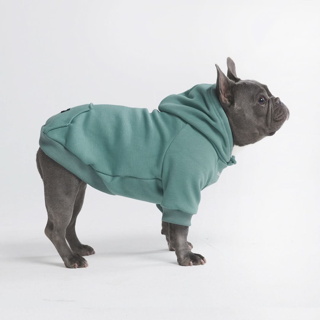 Maglione Essenziale per Cani - Turchese - Image 13