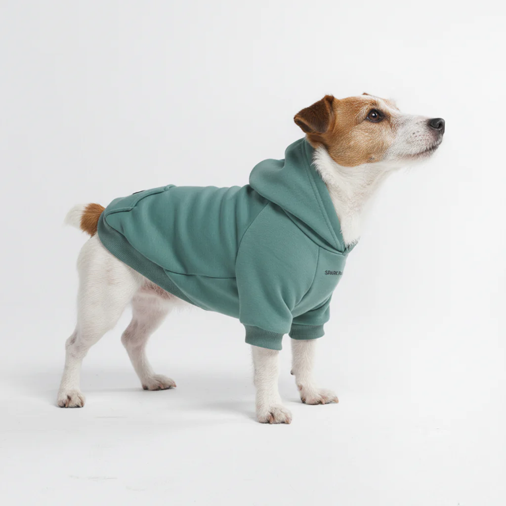 Maglione Essenziale per Cani - Turchese - Image 4