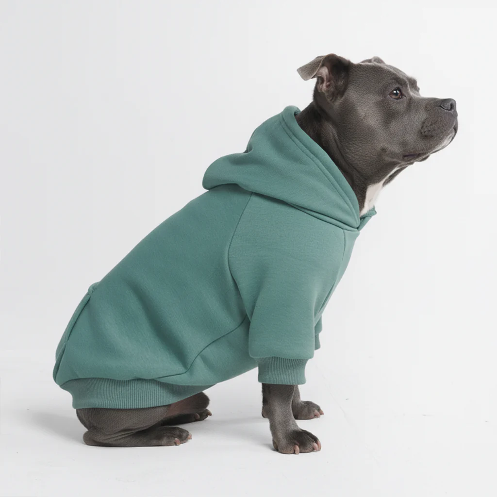 Maglione Essenziale per Cani - Turchese - Image 6