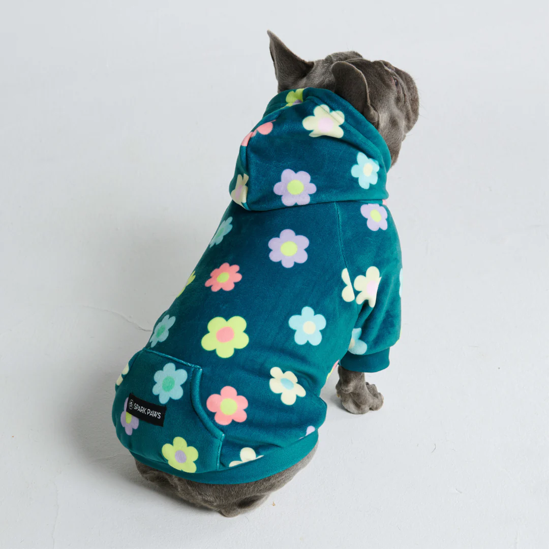 Daisy Felpa per Cane - Verde - Image 5