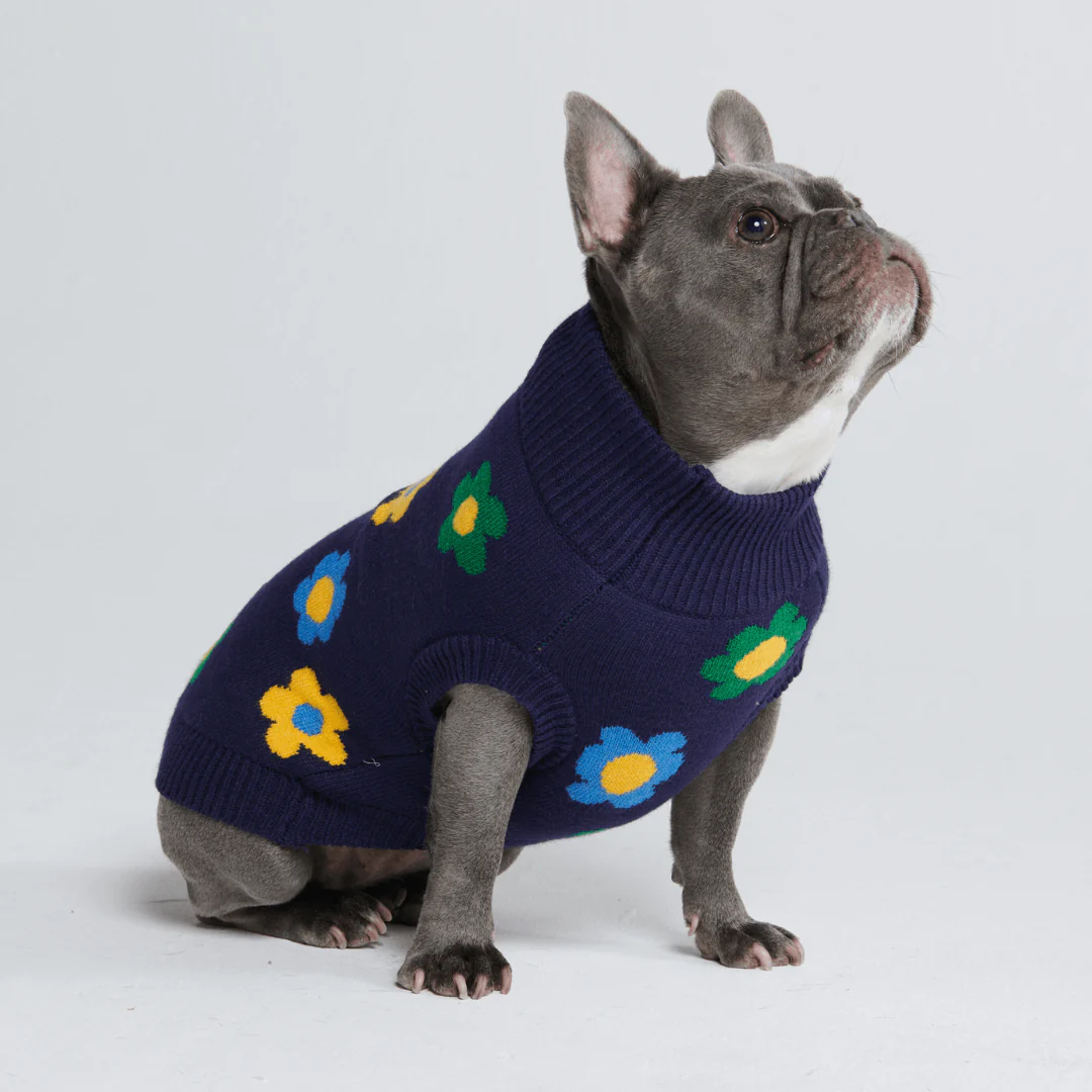 Maglione per cane lavorato a maglia - Fiore - Image 14