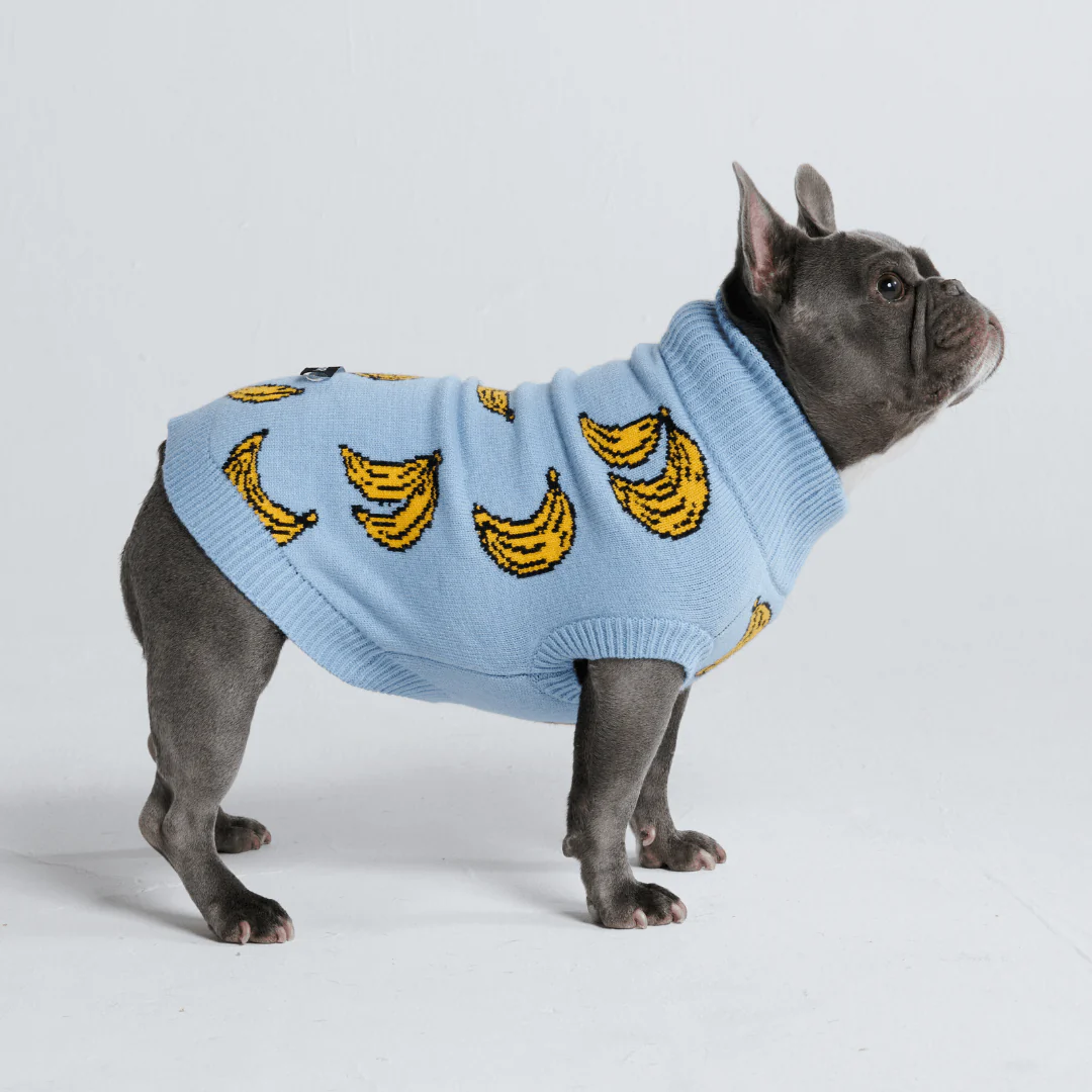Maglione per cane lavorato a maglia - Fiore - Image 15