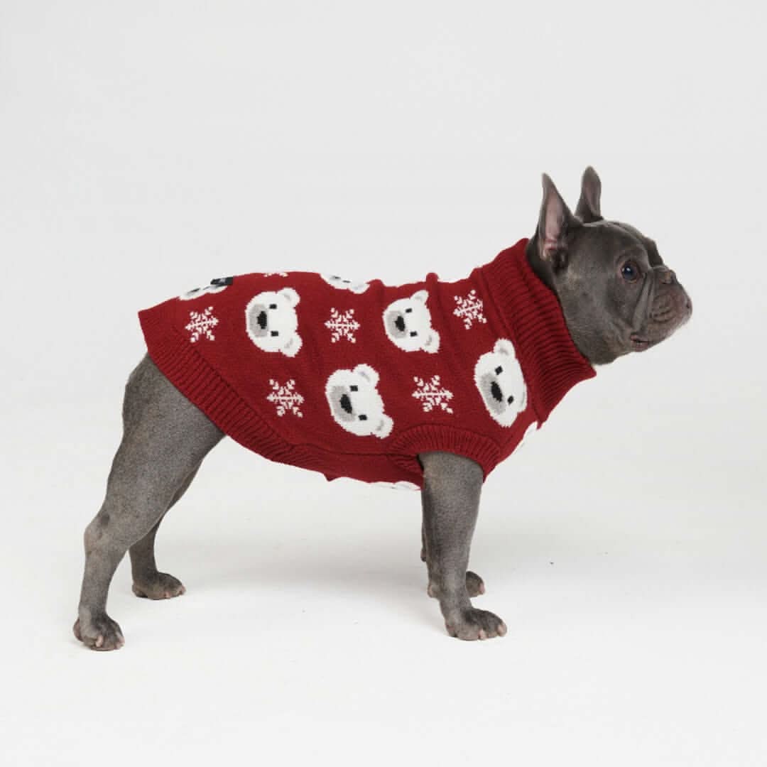 Maglione per cane lavorato a maglia - Fiore - Image 19