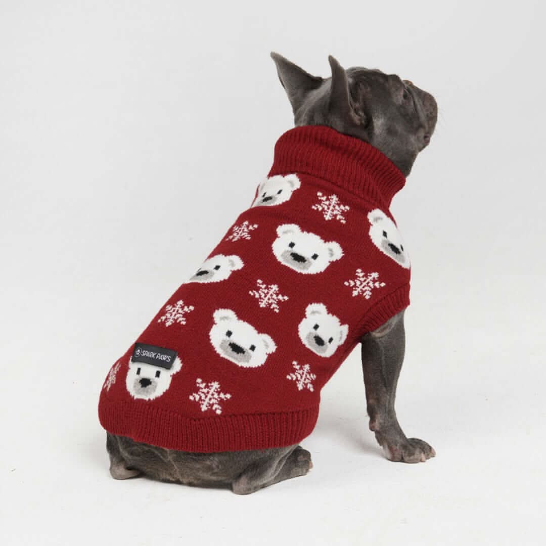 Maglione per cane lavorato a maglia - Fiore - Image 21