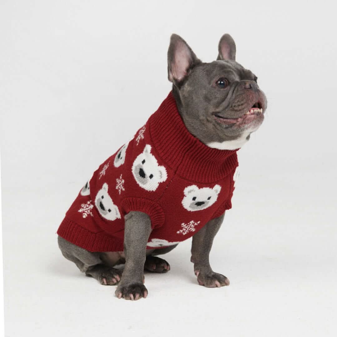 Maglione per cane lavorato a maglia - Fiore - Image 22