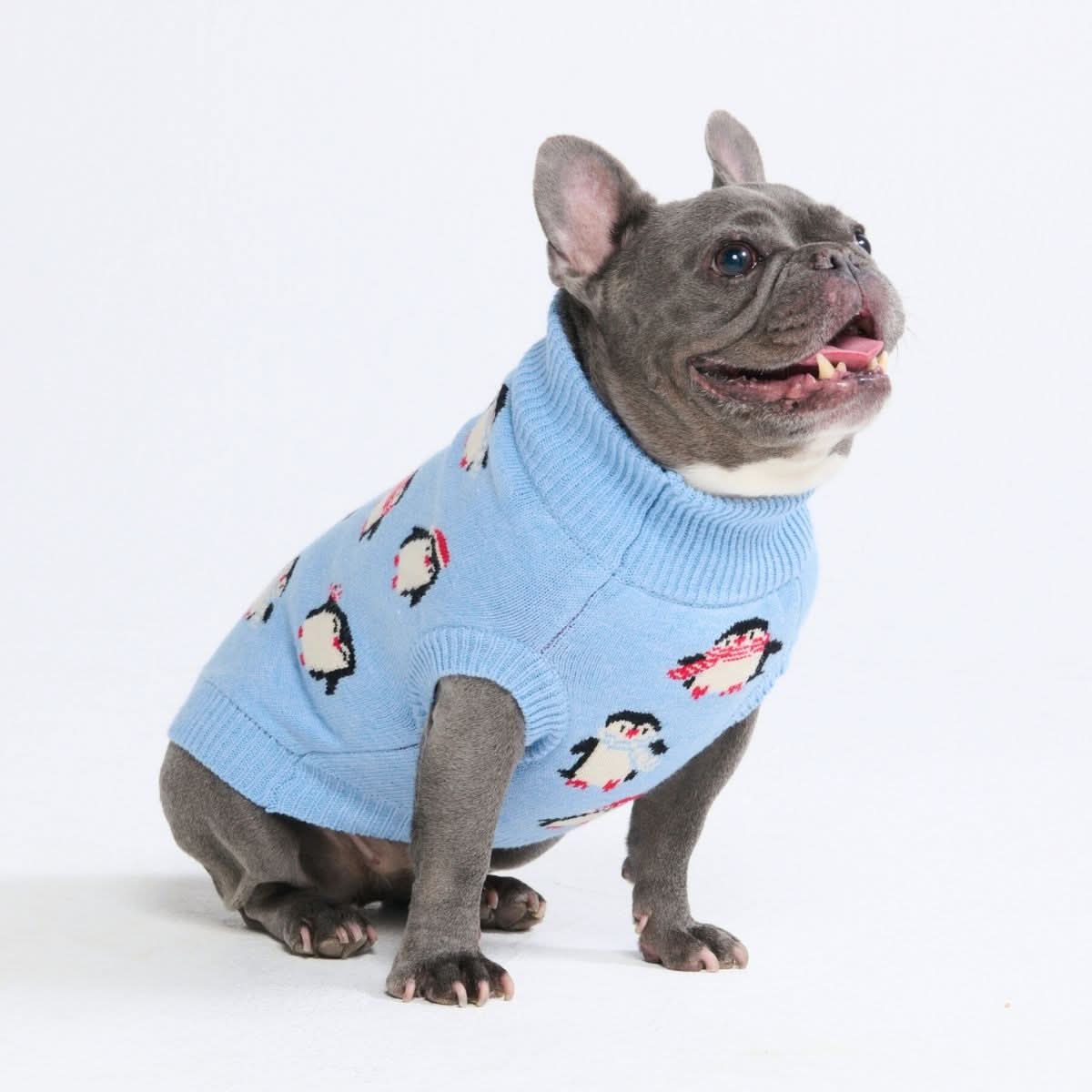 Maglione per cane lavorato a maglia - Fiore - Image 26