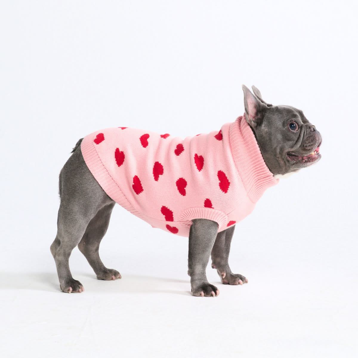 Maglione per cane lavorato a maglia - Fiore - Image 28
