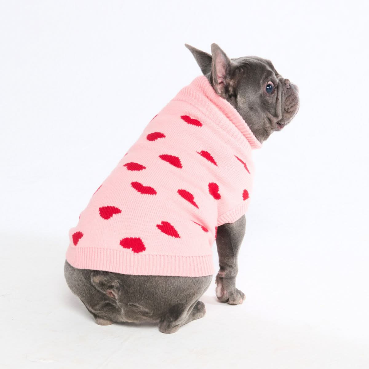 Maglione per cane lavorato a maglia - Fiore - Image 29