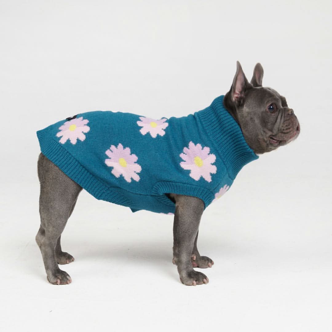 Maglione per cane lavorato a maglia - Fiore - Image 3