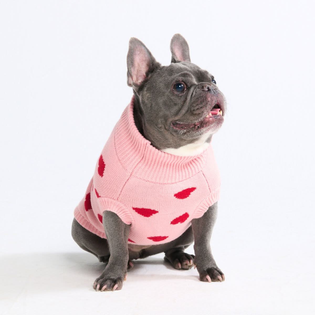 Maglione per cane lavorato a maglia - Fiore - Image 30