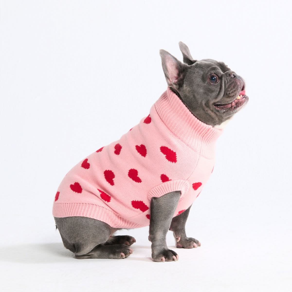 Maglione per cane lavorato a maglia - Fiore - Image 31