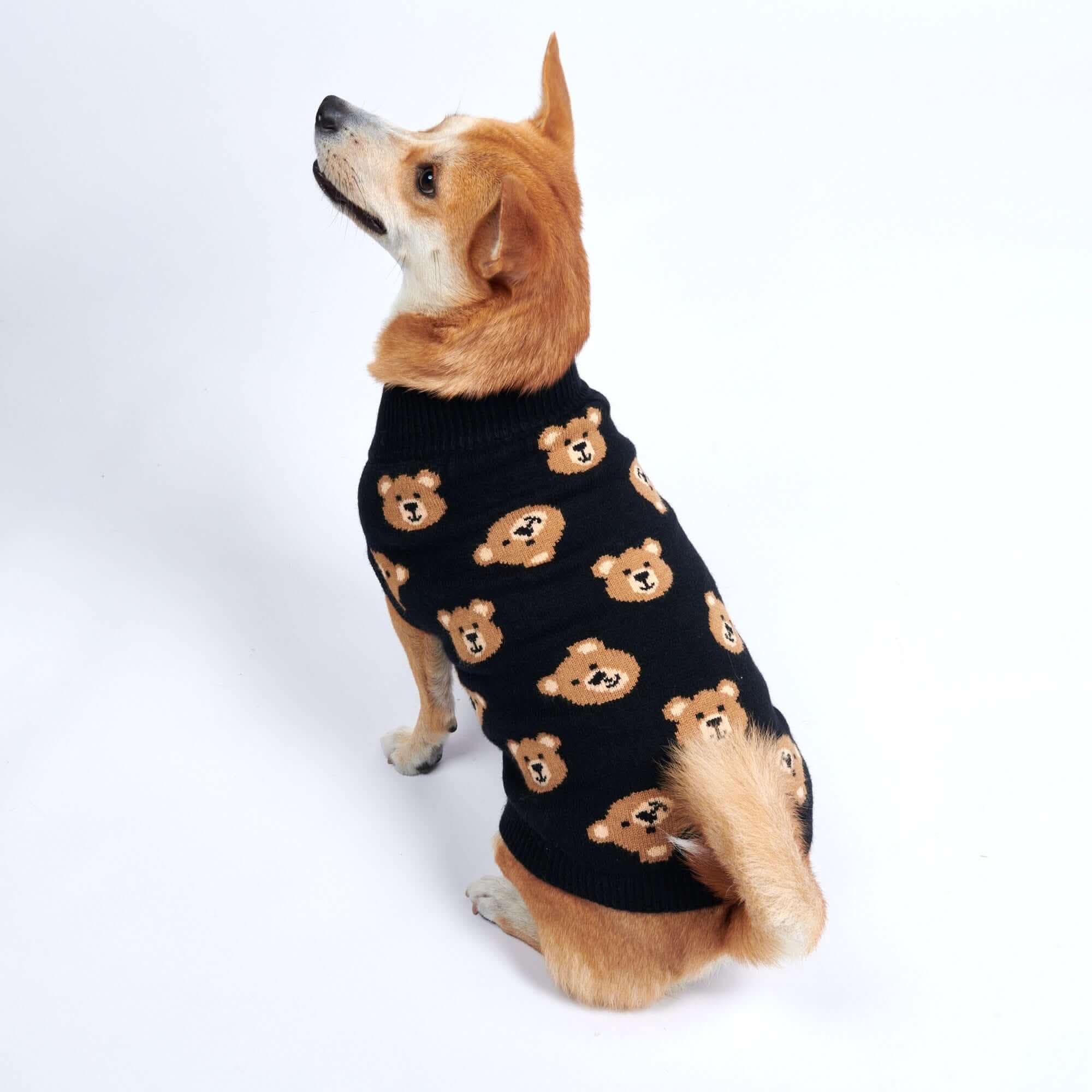 Maglione per cane lavorato a maglia - Fiore - Image 7