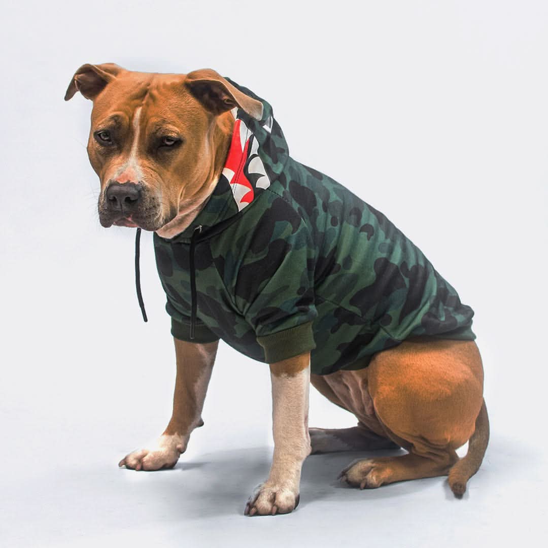 Felpa con Cappuccio per Cani Mostro Squalo - Verde Mimetico - Image 4
