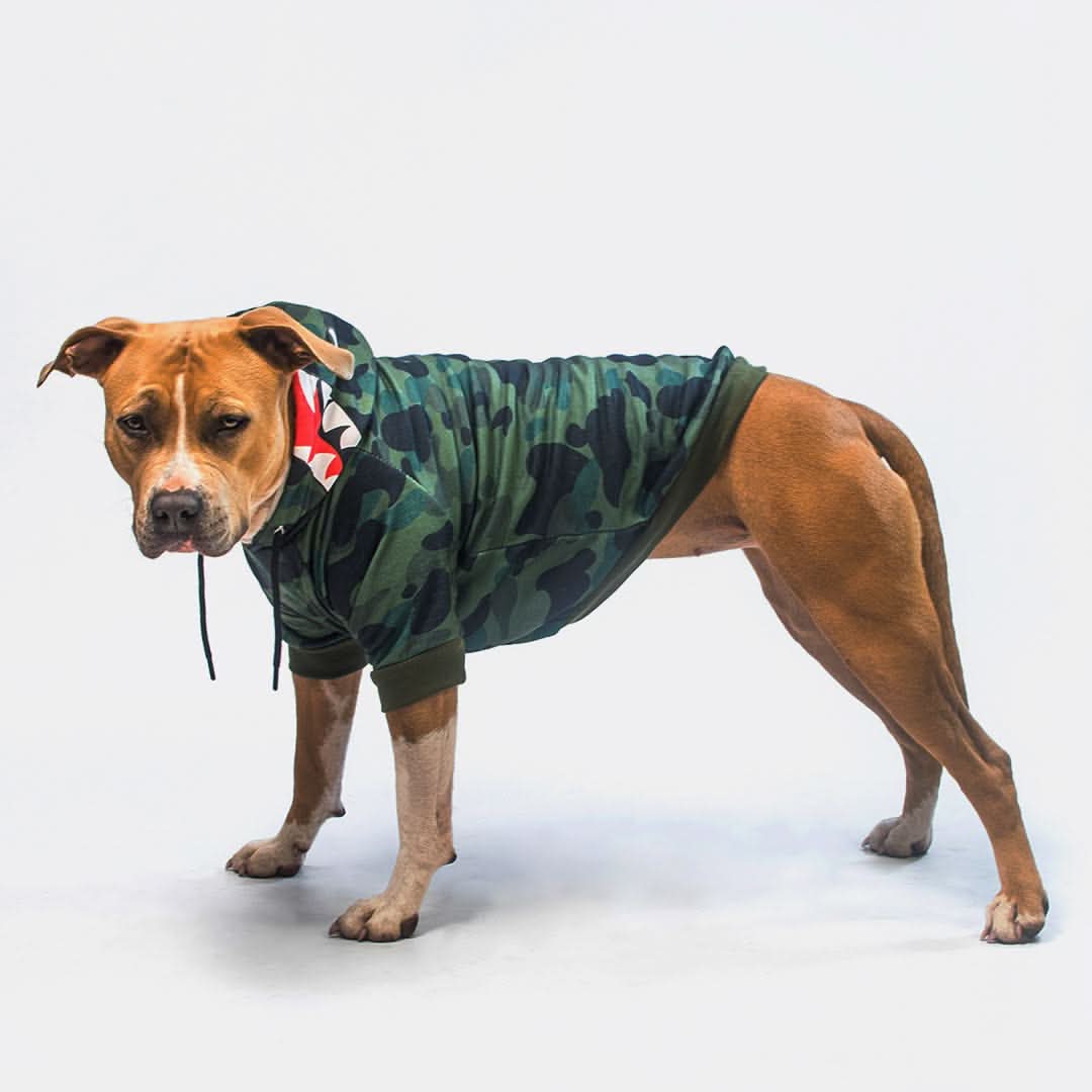 Felpa con Cappuccio per Cani Mostro Squalo - Verde Mimetico - Image 6