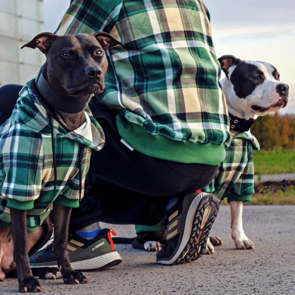 Maglione Plaid per Cani - Quadretti verdi - Image 12
