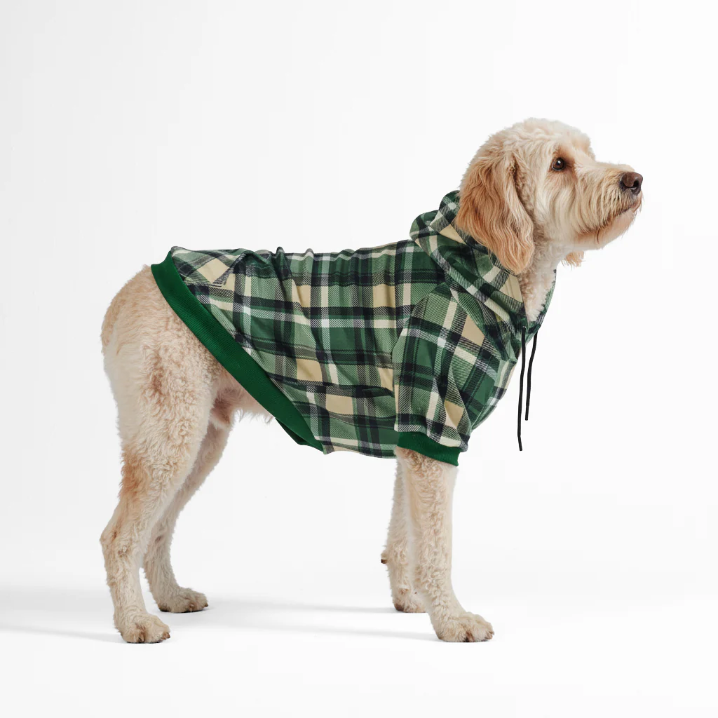 Maglione Plaid per Cani - Quadretti verdi - Image 4