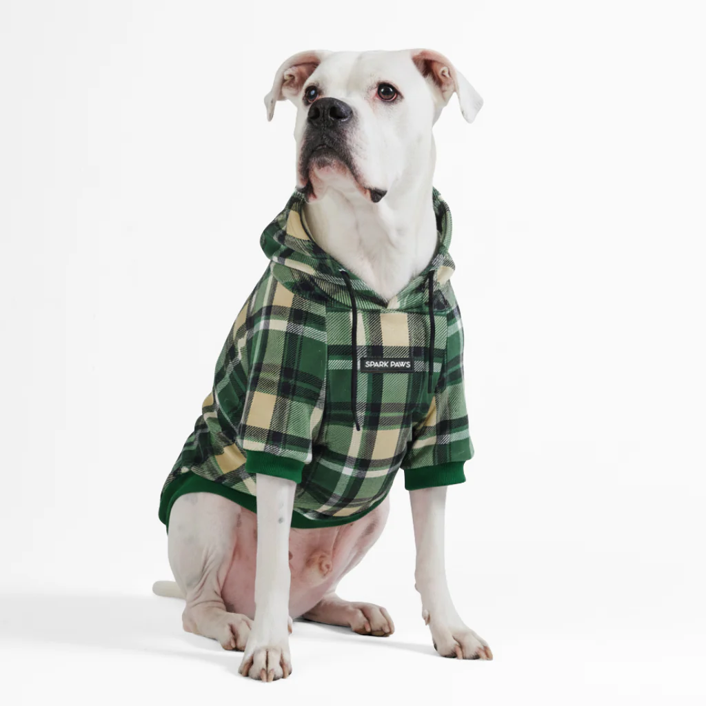 Maglione Plaid per Cani - Quadretti verdi - Image 5