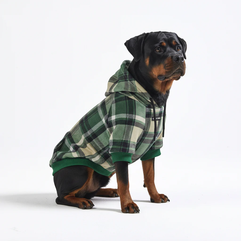 Maglione Plaid per Cani - Quadretti verdi - Image 6