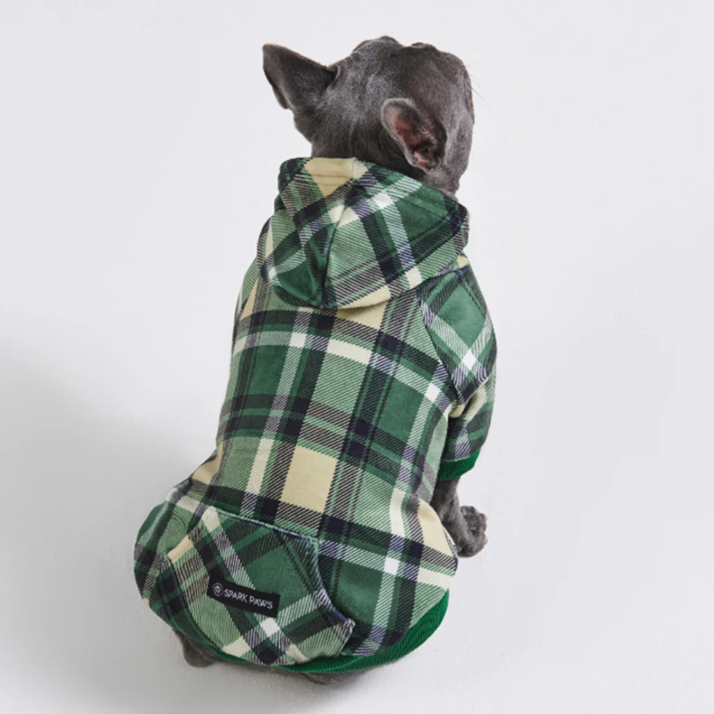 Maglione Plaid per Cani - Quadretti verdi - Image 9