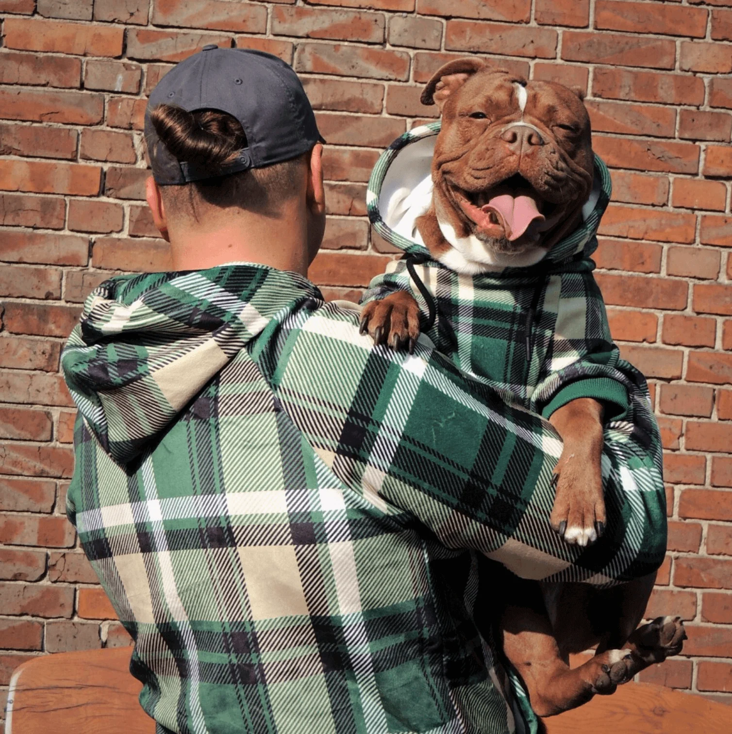 Maglione Plaid per Umani - Quadretti verdi - Image 5