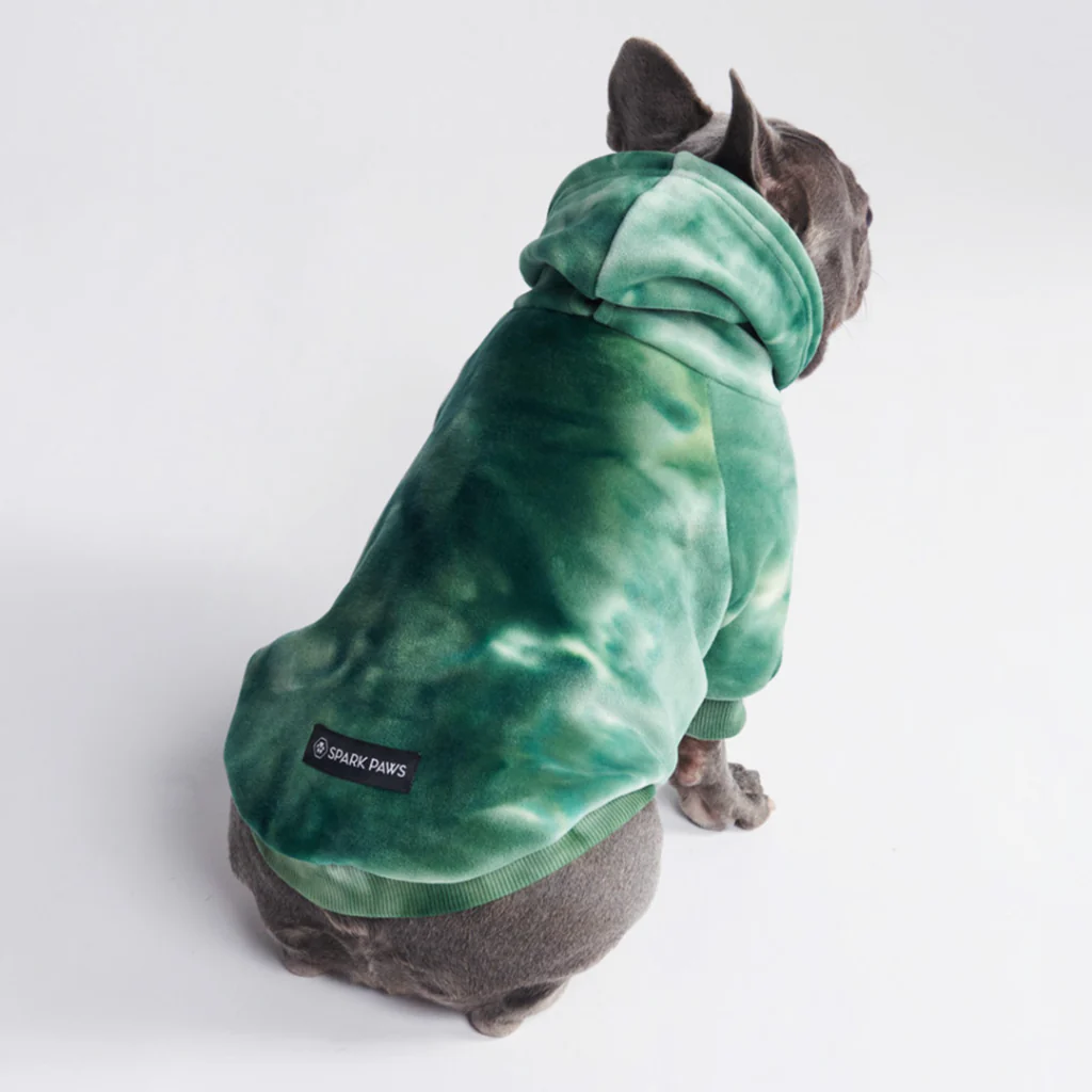 Maglione in Velluto per Cani - Verde Smeraldo - Image 10