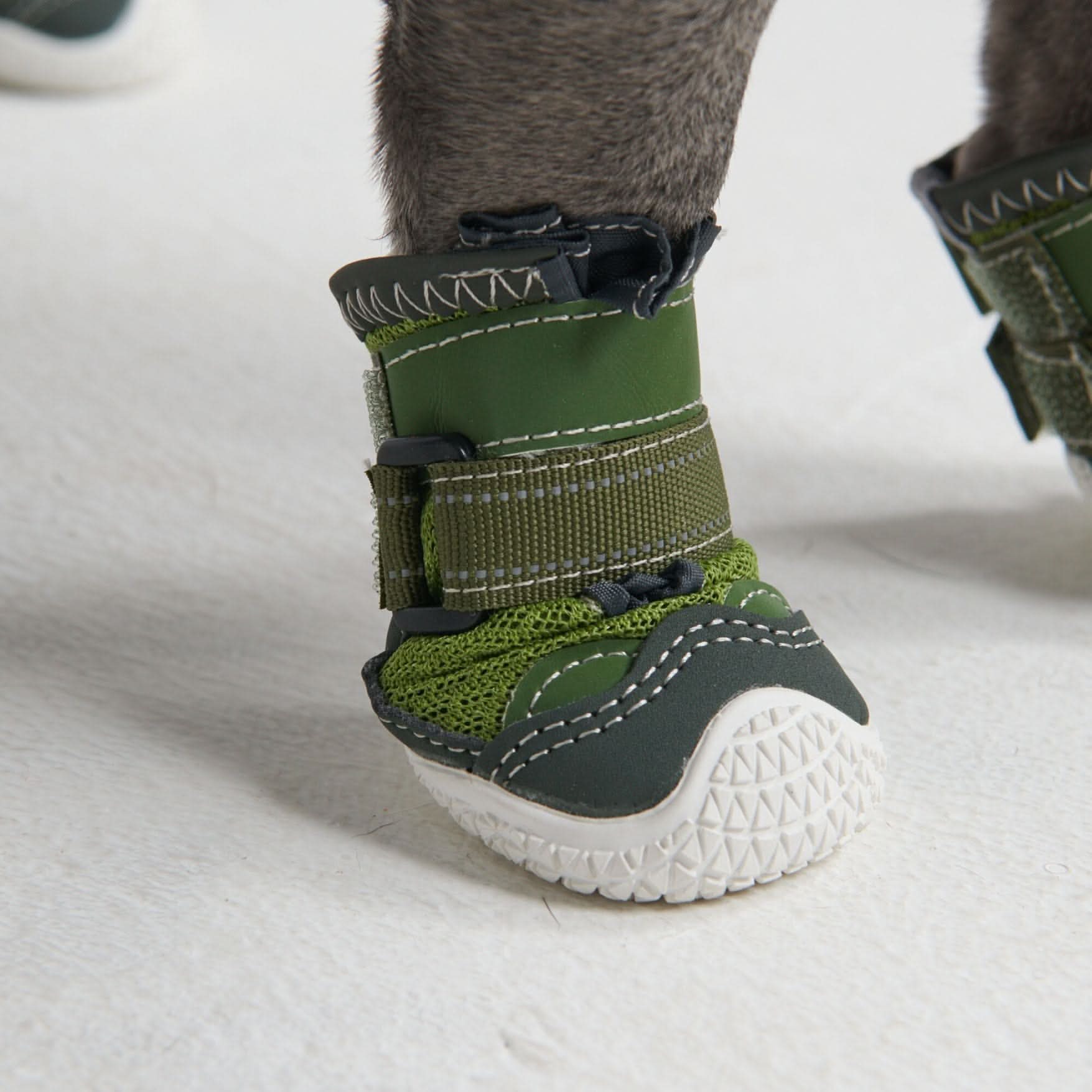 Scarpe per cani Hot Pavement Pawtector - Verde - Image 4