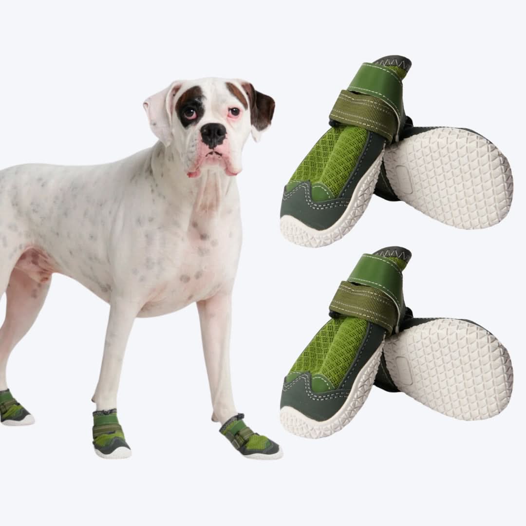 Scarpe per cani Hot Pavement Pawtector - Verde - Image 7