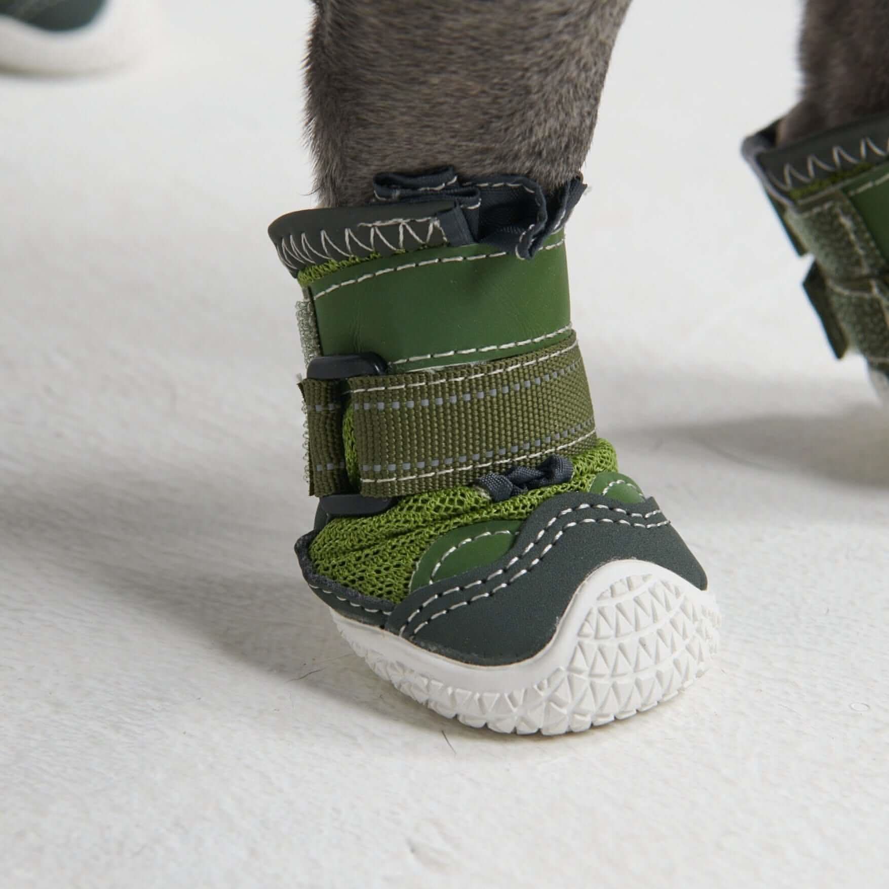 Scarpe per cani Hot Pavement Pawtector - Image 10