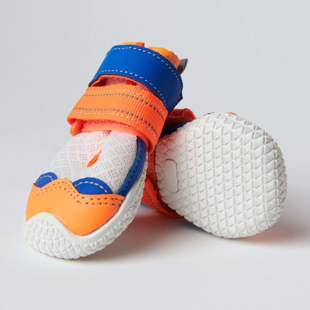 Scarpe per cani Hot Pavement Pawtector - Image 21