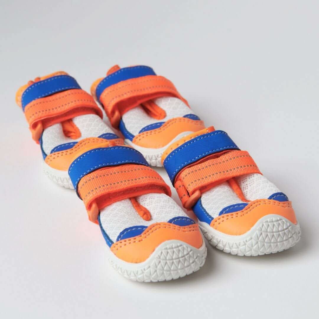 Scarpe per cani Hot Pavement Pawtector - Image 24