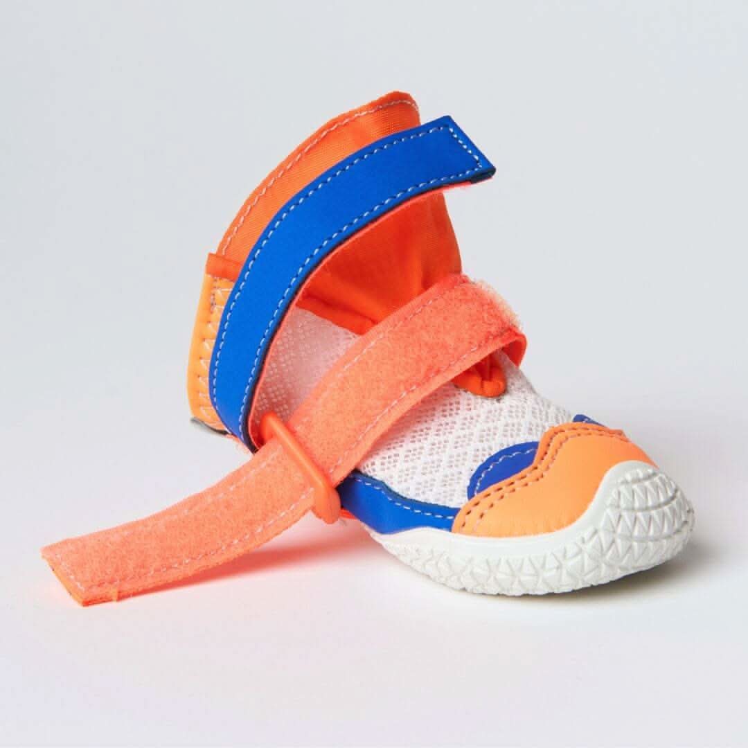 Scarpe per cani Hot Pavement Pawtector - Image 25
