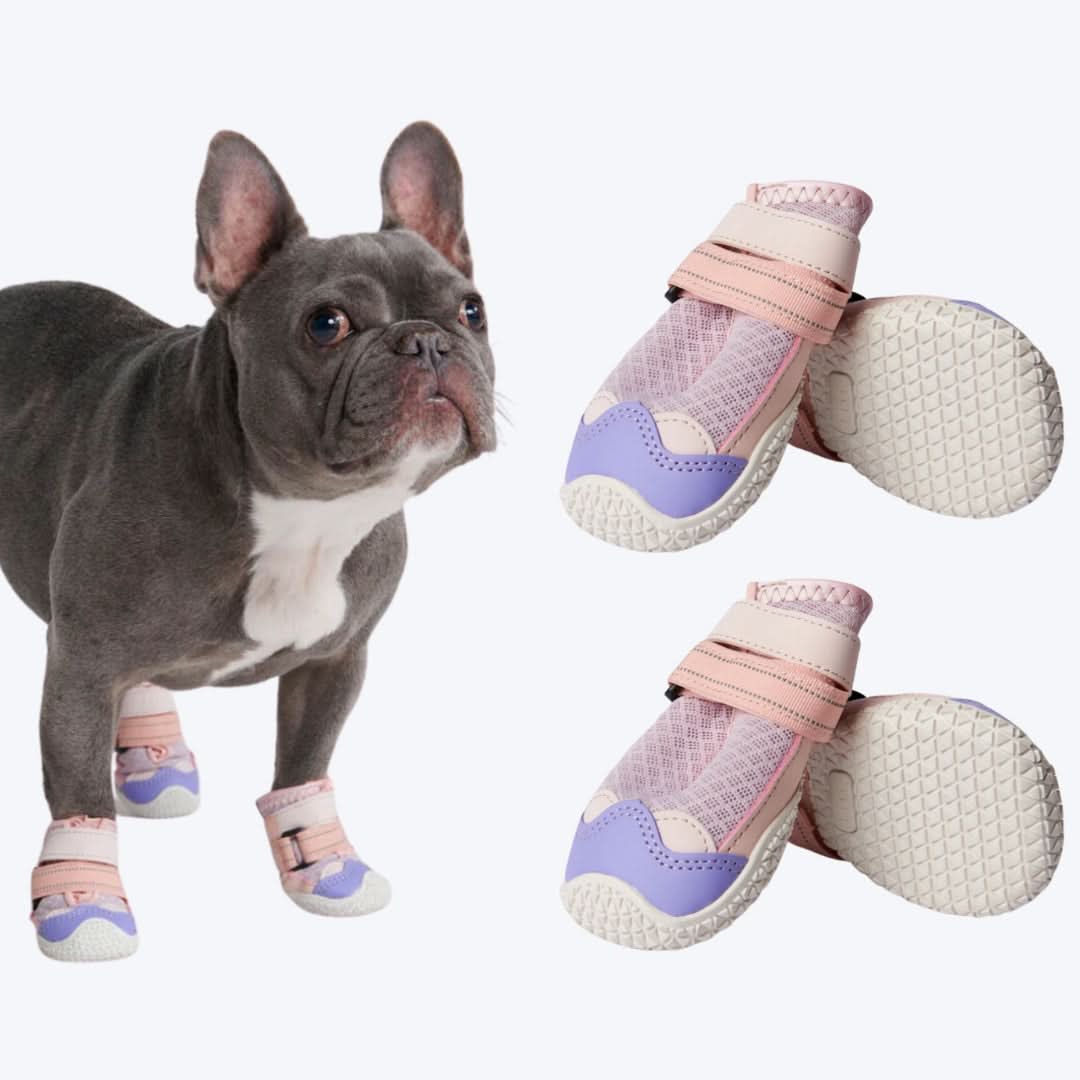 Scarpe per cani Hot Pavement Pawtector - Rosa Viola - Image 7