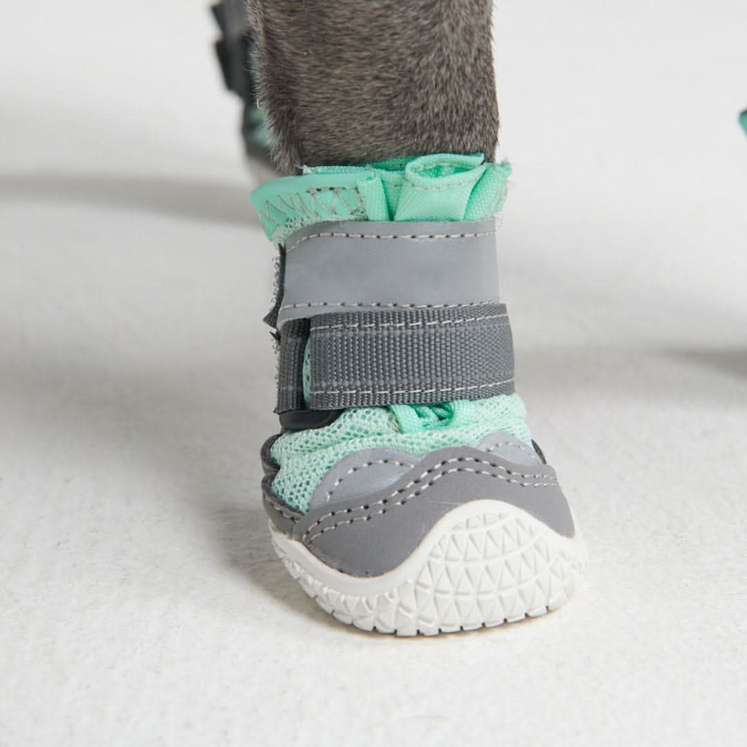 Scarpe per cani Hot Pavement Pawtector - Verde acqua - Image 3