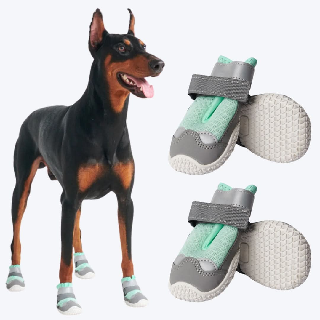 Scarpe per cani Hot Pavement Pawtector - Verde acqua - Image 7