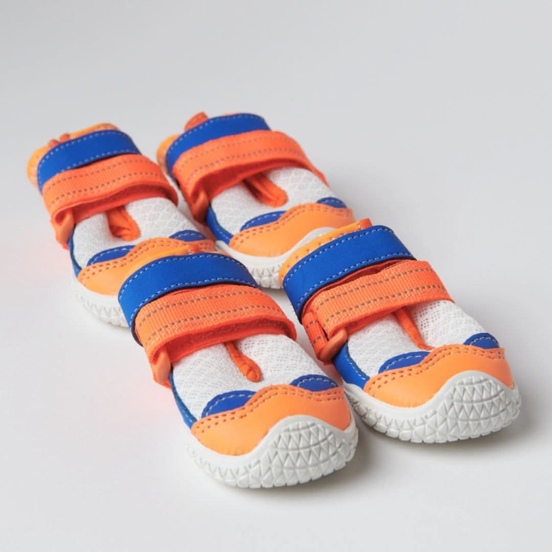 Scarpe per cani Hot Pavement Pawtector - Arancione Blu - Image 3