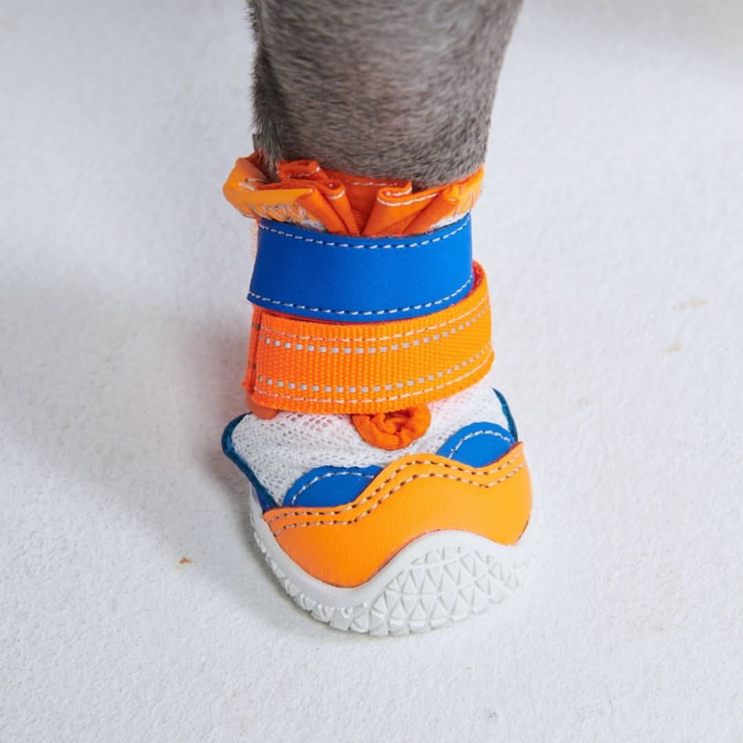 Scarpe per cani Hot Pavement Pawtector - Arancione Blu - Image 4