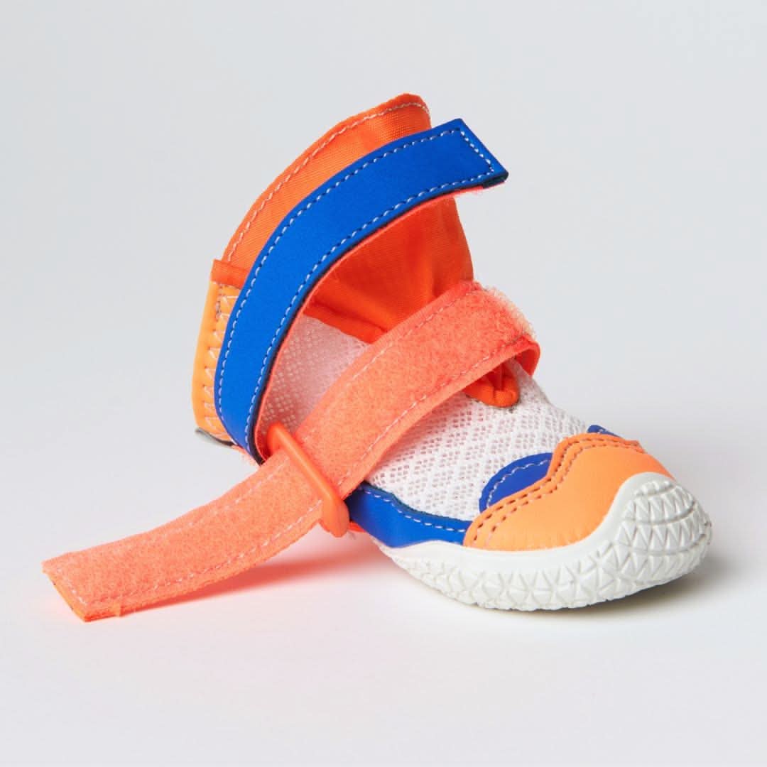 Scarpe per cani Hot Pavement Pawtector - Arancione Blu - Image 5