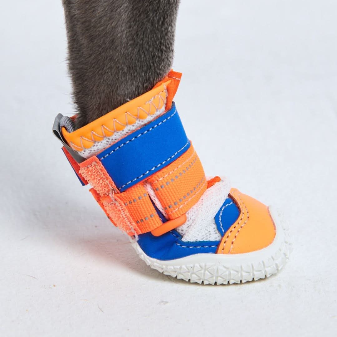 Scarpe per cani Hot Pavement Pawtector - Arancione Blu - Image 6