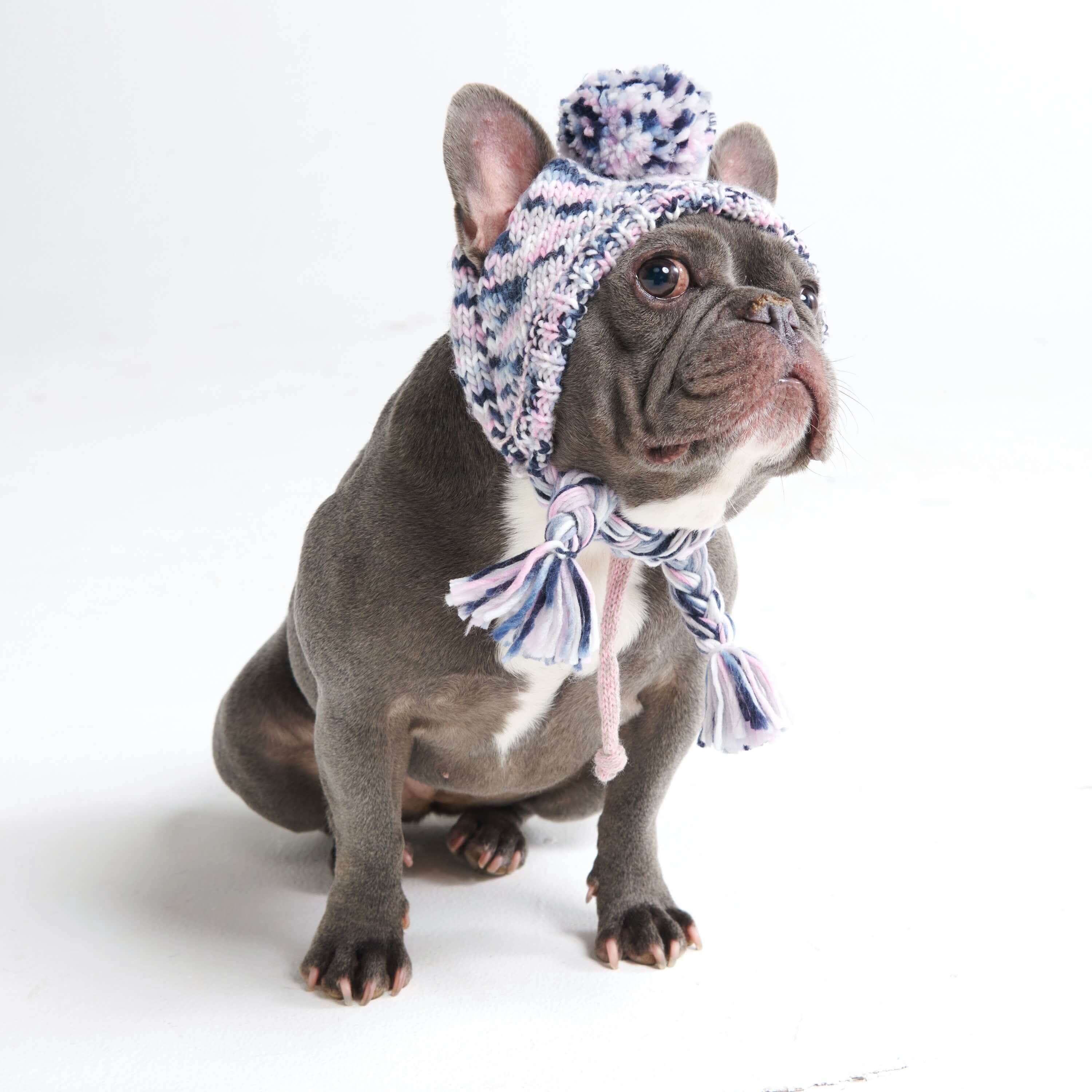 Cappello per cani Pom Pom in Maglia - Image 11