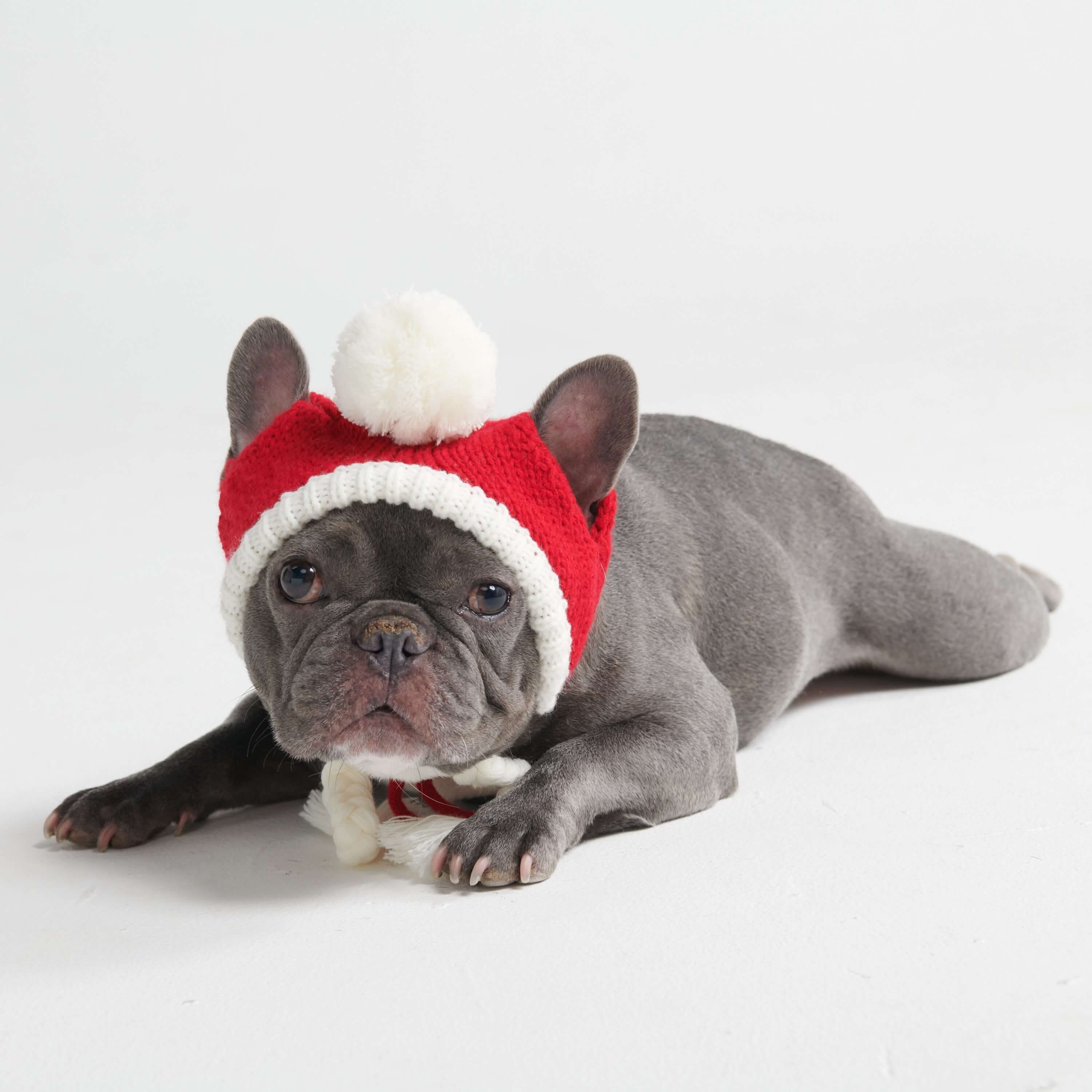 Cappello per cani Pom Pom in Maglia - Image 16