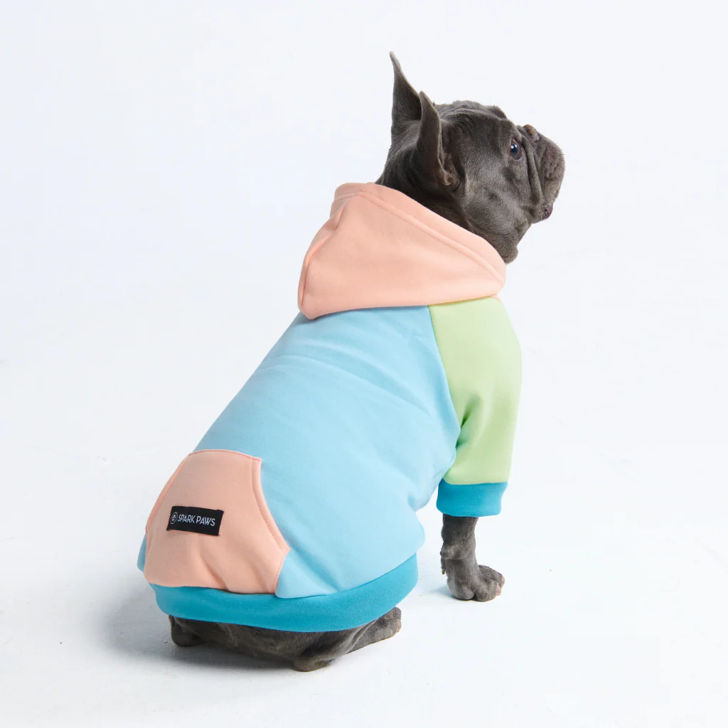 Jelly Bean Felpa per Cane - Image 9
