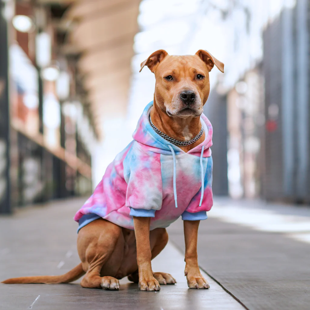 Maglione in Velluto per Cani - Cono di Neve - Image 12