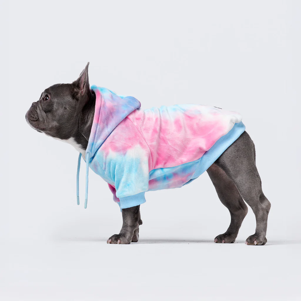 Maglione in Velluto per Cani - Cono di Neve - Image 3