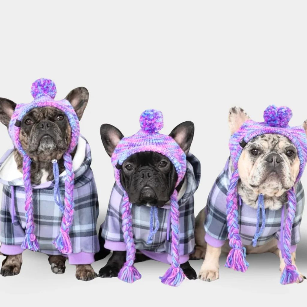Maglione Plaid per Cani - Quadretti viola - Image 11